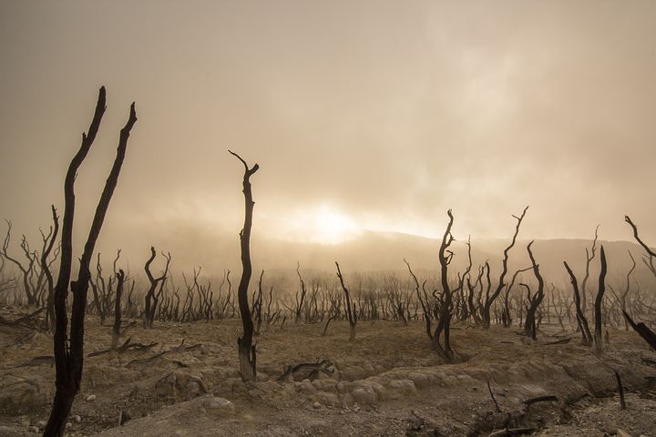 Fiasko i klimatmöte – en grund för kommande katastrof för mänskligheten??