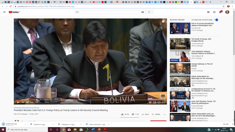 Bolivia: Ny framgångsrik USA-stödd statskupp.