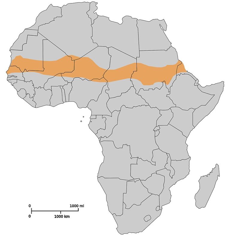 Upprorsbekämpning i Sahel-länderna i Afrika, eller varför finns svenska soldater i Mali?