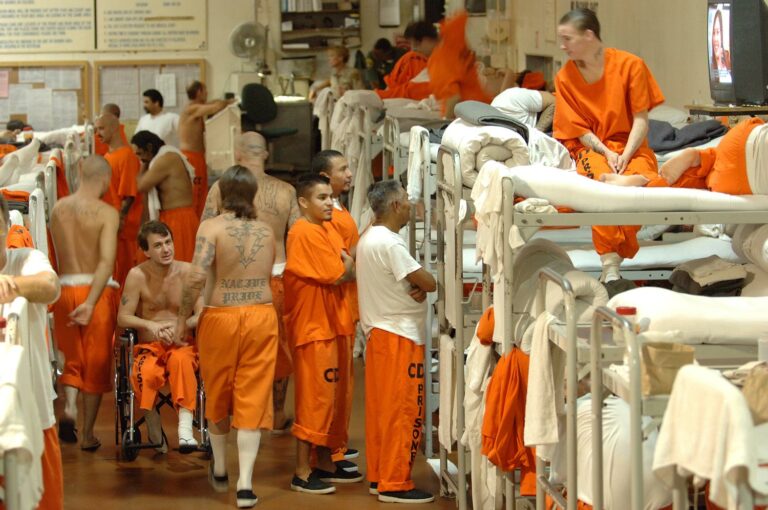 USA:s Gulag: inuti det mycket omfattande fängelsesystemet