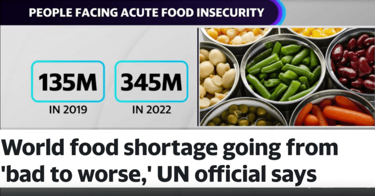 FN: Världens matbrist går från ont till värre