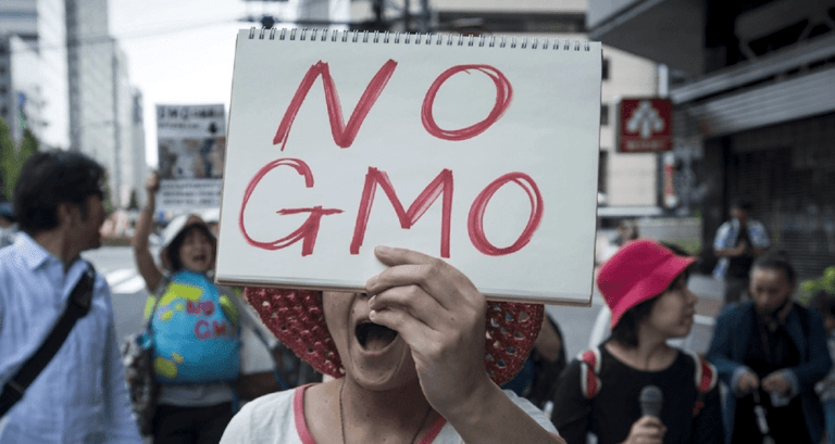 Indiens jordbrukare förkastar GMO – folk vill inte ha genetiskt modifierad mat