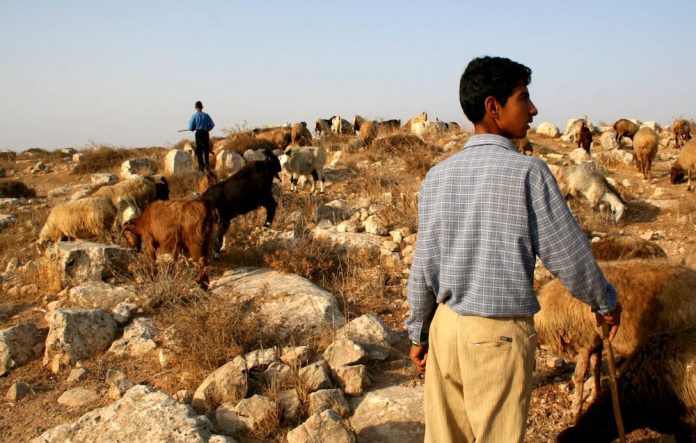 Illegala bosättares terrorvälde på Västbanken